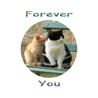 Forever You – Love E-Card with Cats
